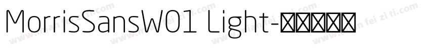 MorrisSansW01 Light字体转换